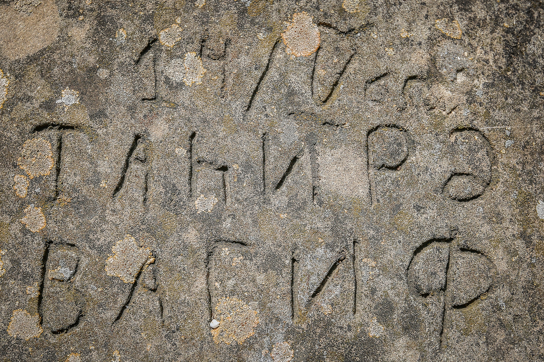 Qalanın sonuncu mərtəbəsində ”Tahirə və Vaqif” yazılmış yazı