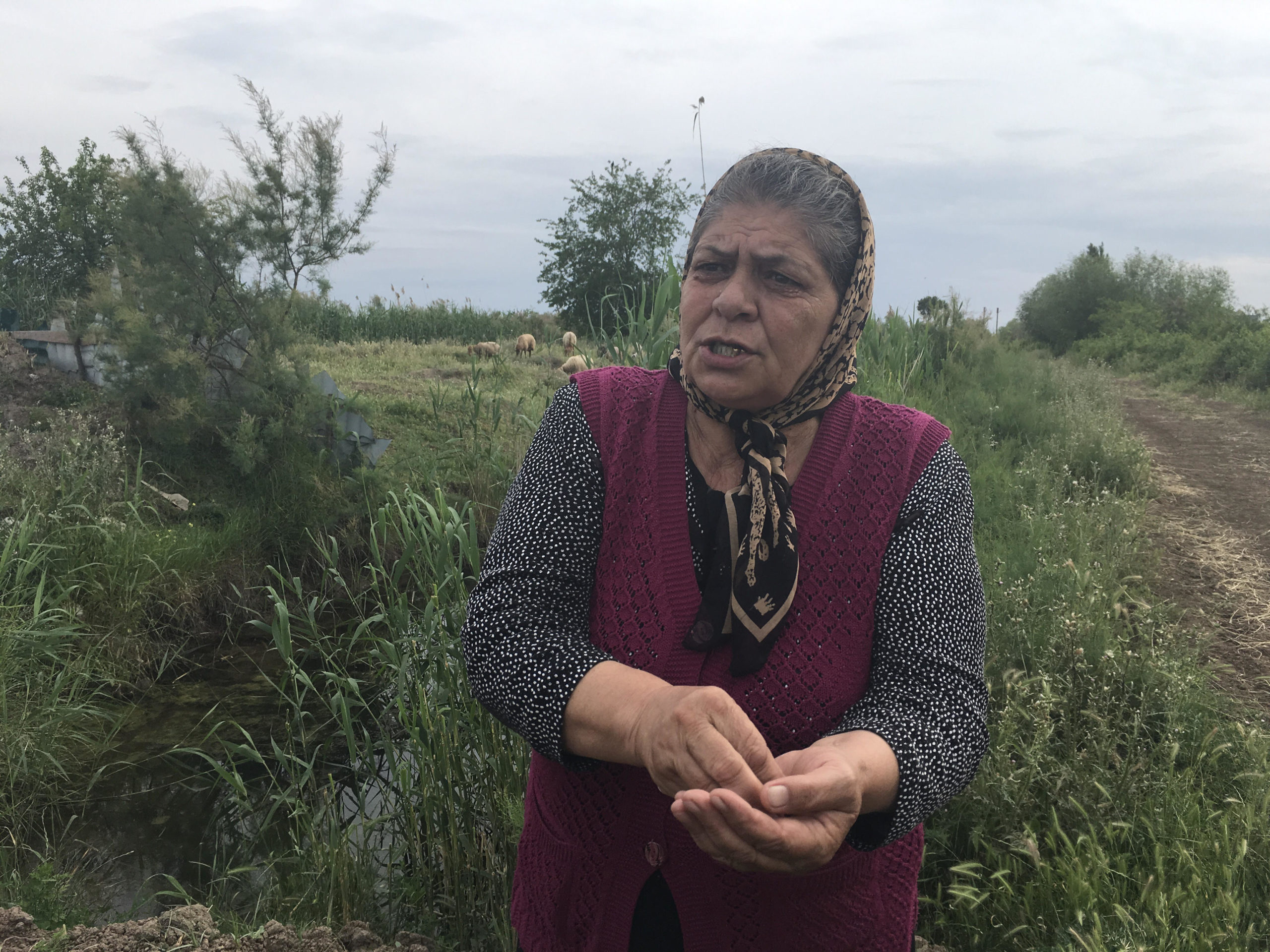 Səringül Əmiraslanova