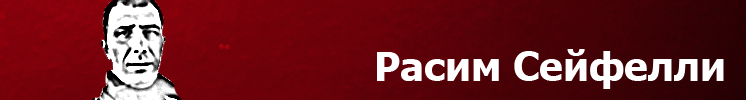 Seyfelli-Banner