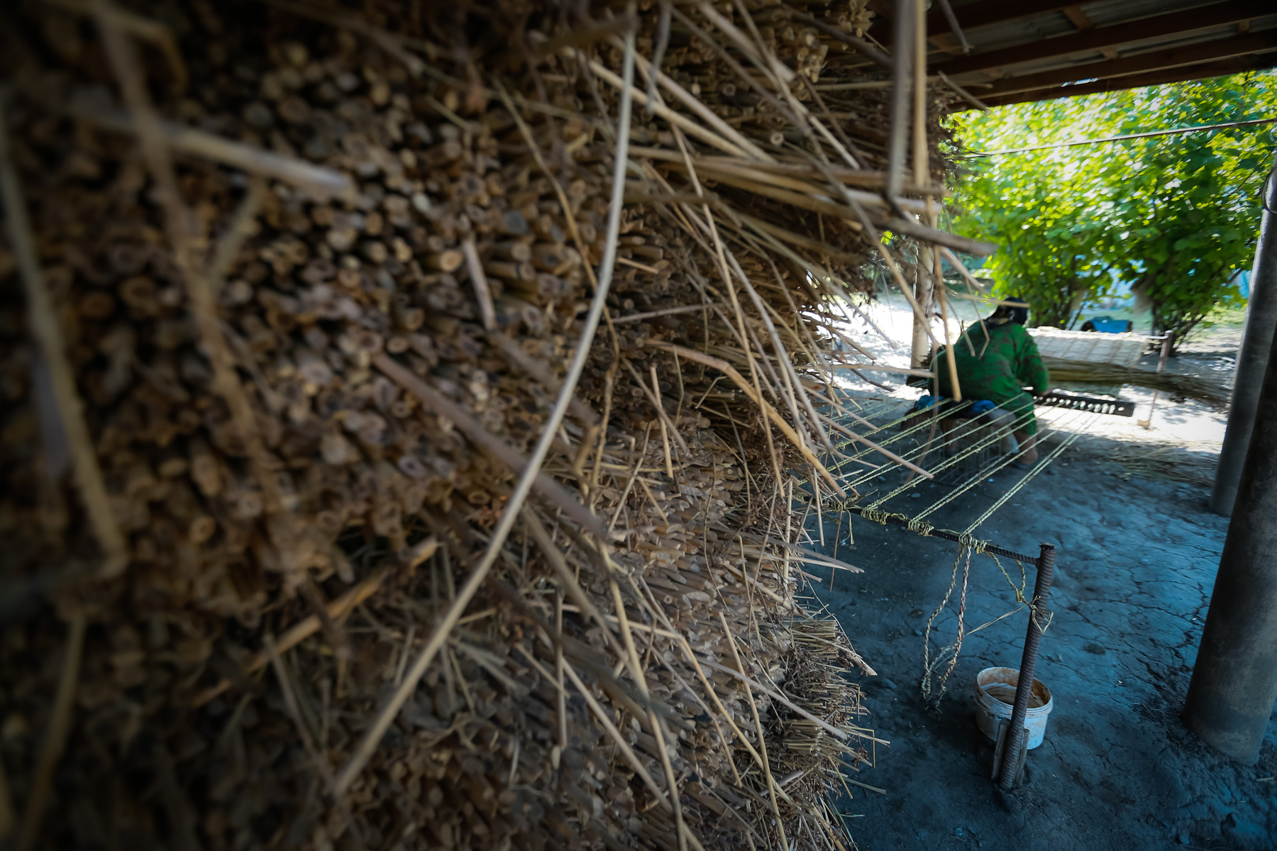 Siddiqə xanım həsir toxumağı gənc yaşlarından öyrənməyə başlayıb və bugünə qədər də bu işi davam etdirir