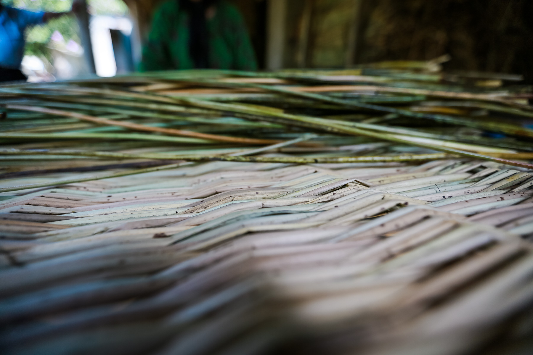 Sifarişlərdən asılı olaraq həsirlərin uzunluğu 10-15 metrə qədər uzana bilər