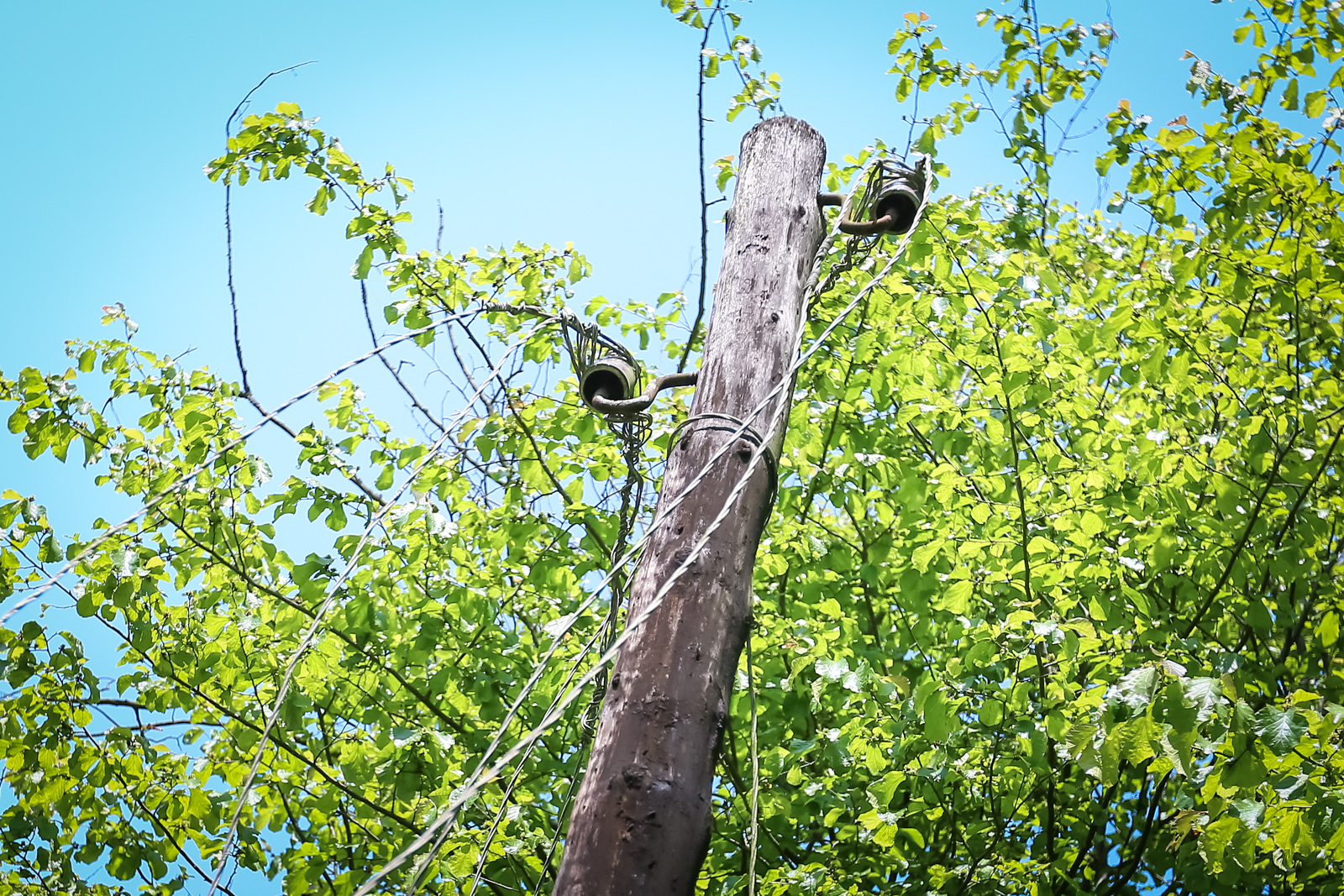 Sıradan çıxmış elektrik dirəyi və məftilləri