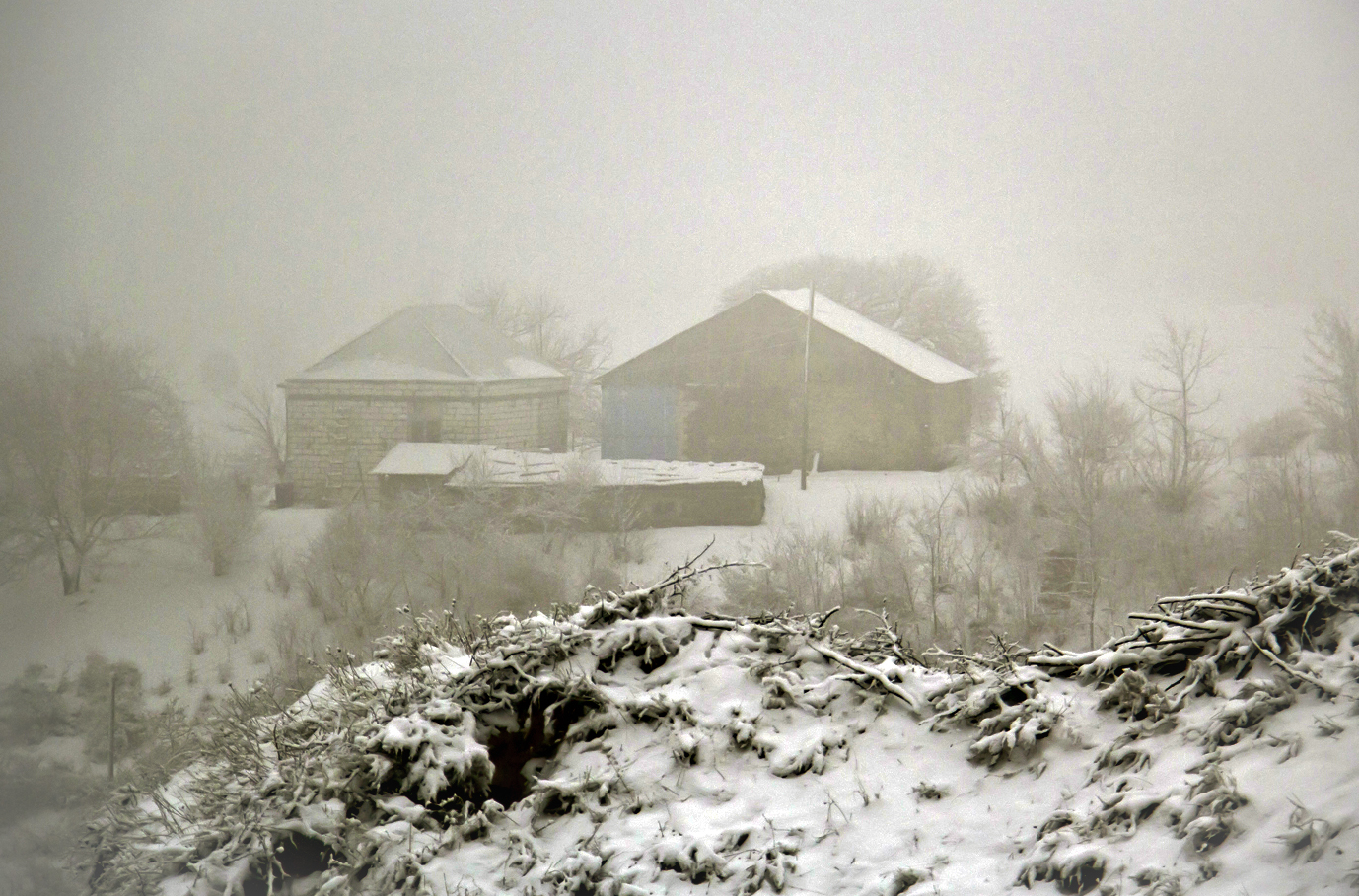 Tovuzun Ağdam kəndində cəbhə xəttinə yaxın yerləşən evlər