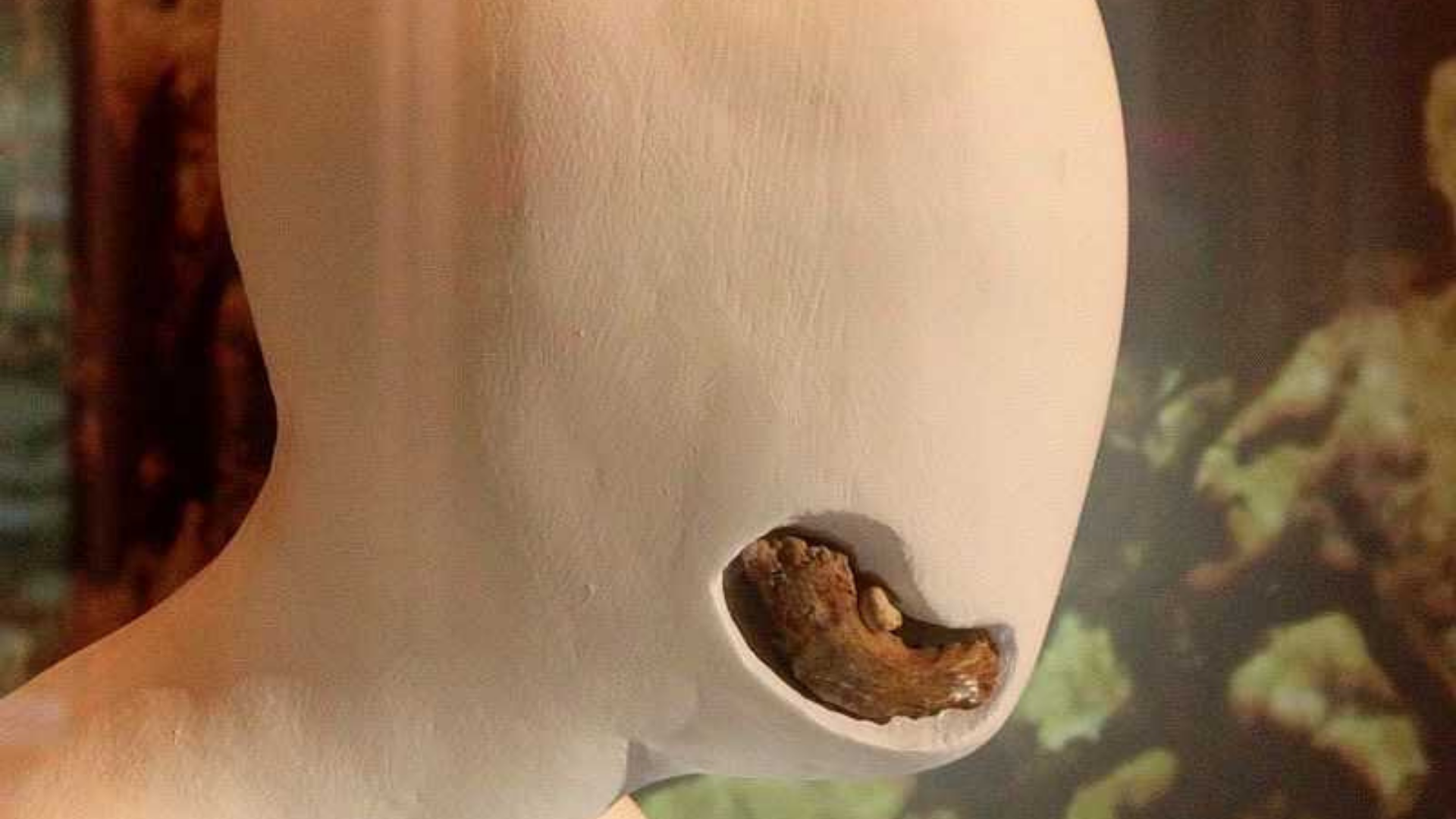 Untitled design (1).png