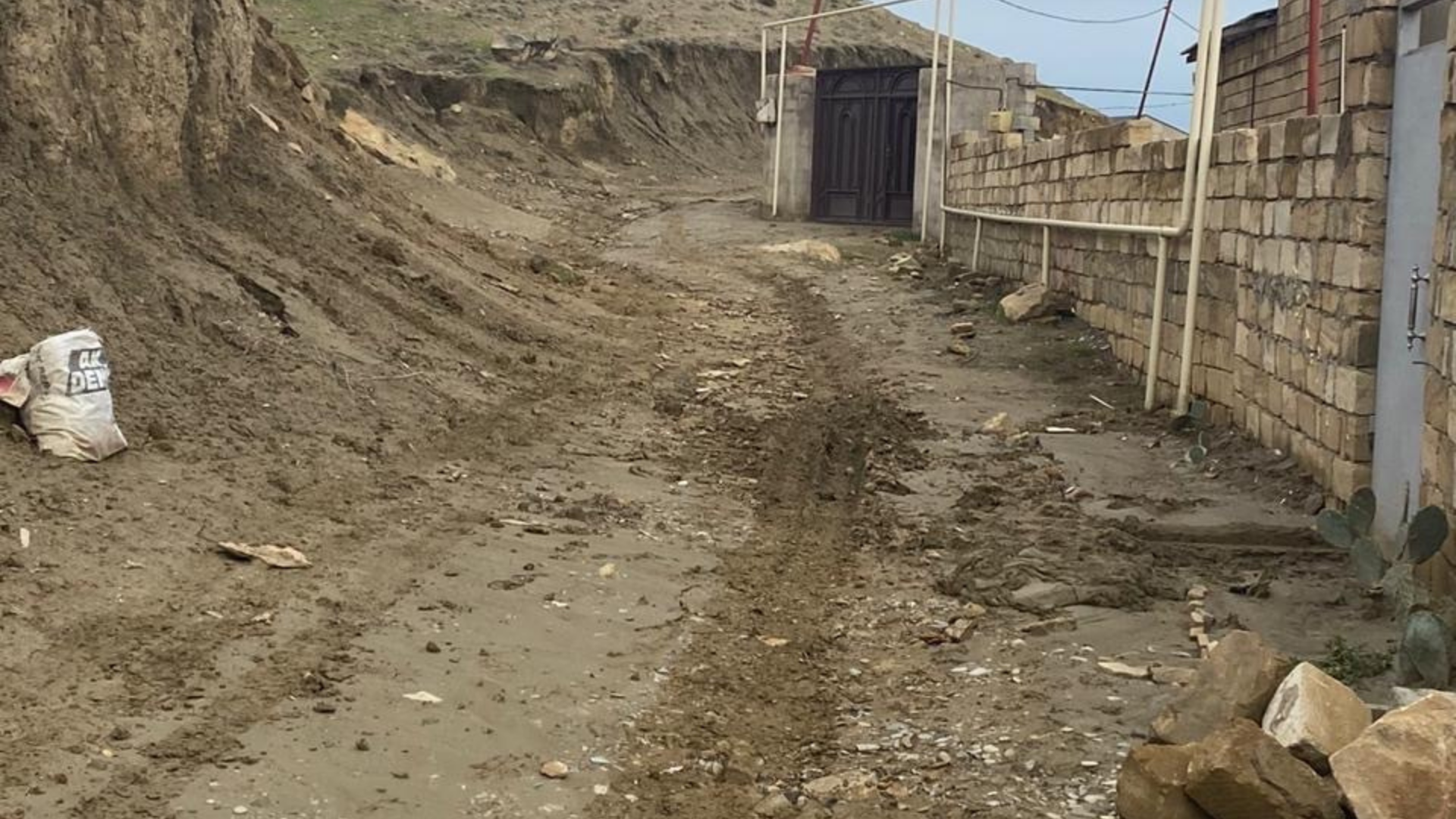 Untitled design (10).png