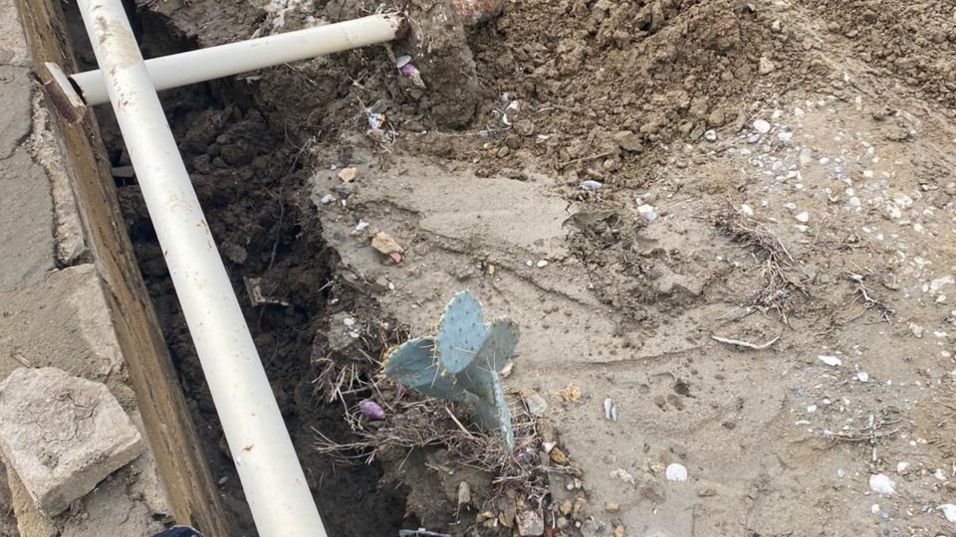 Untitled design (11).png