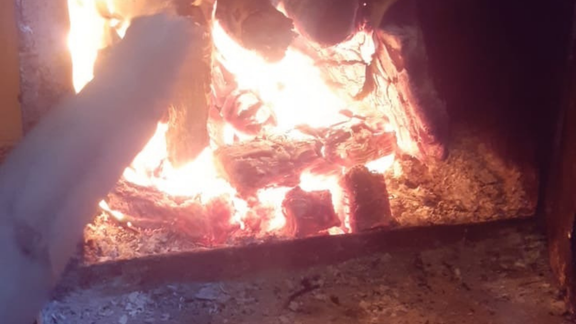 Untitled design (11).png