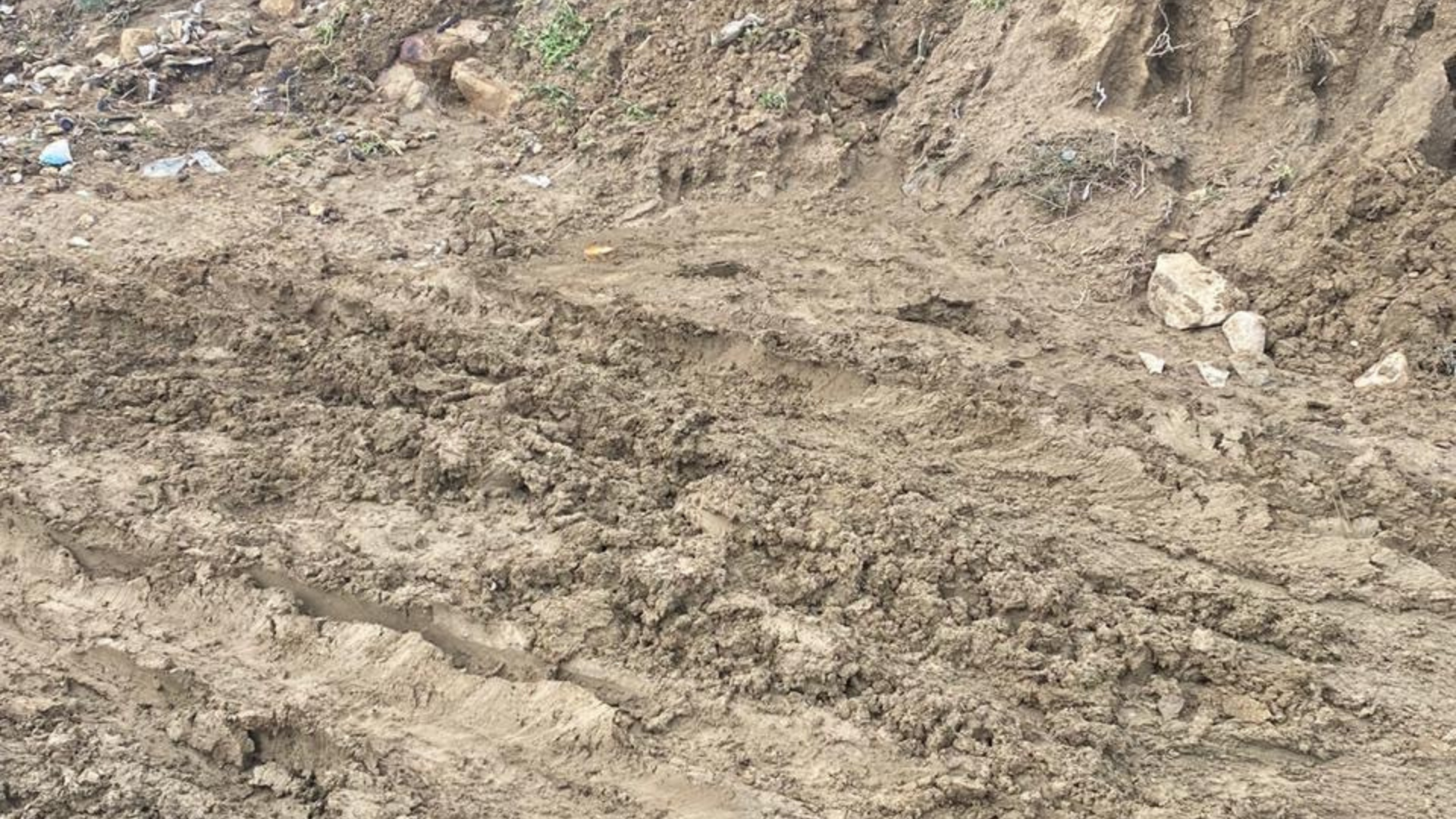 Untitled design (12).png