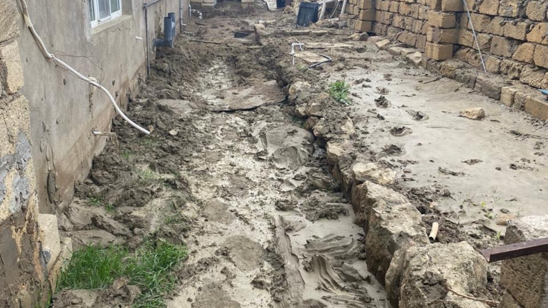 Untitled design (9).png