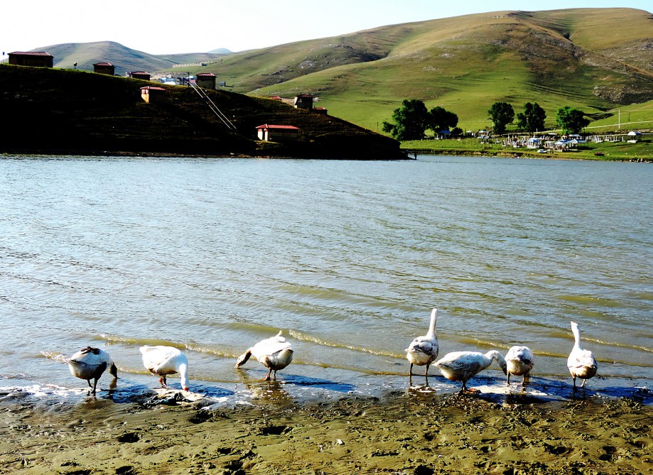 Xoşbulaq kəndi, Daşkəsən