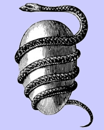 Yumurta