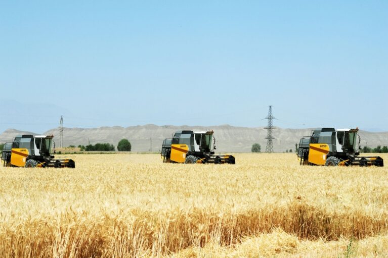 Naxçıvan, foto: Azərtac