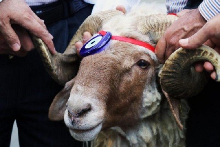 Qurban Bayramı