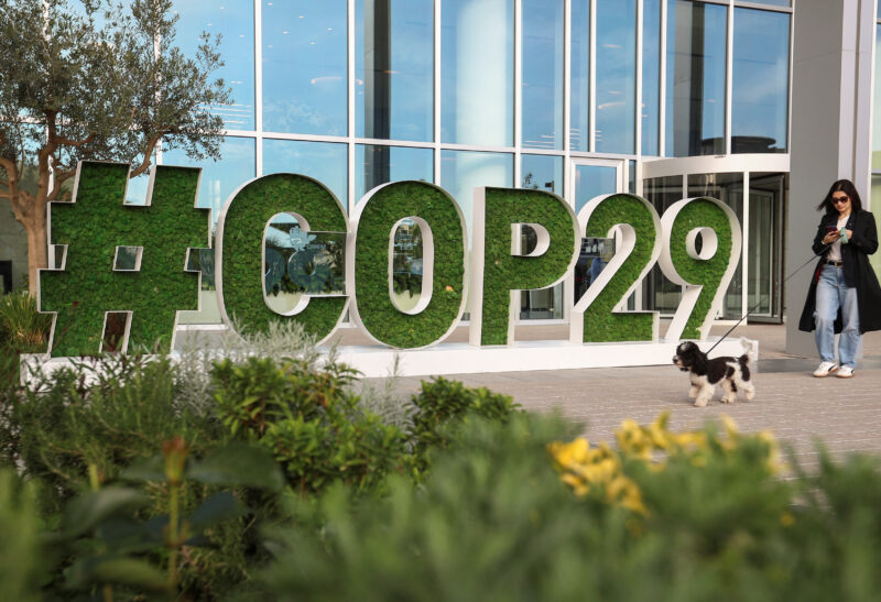 COP29. Foto: