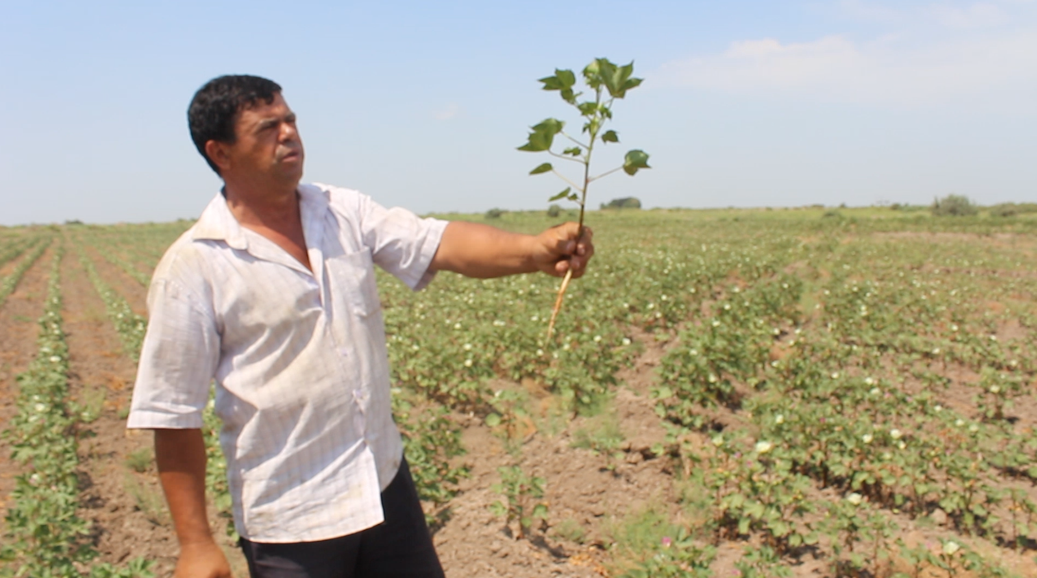Fermer, Foto Meydan Tv
