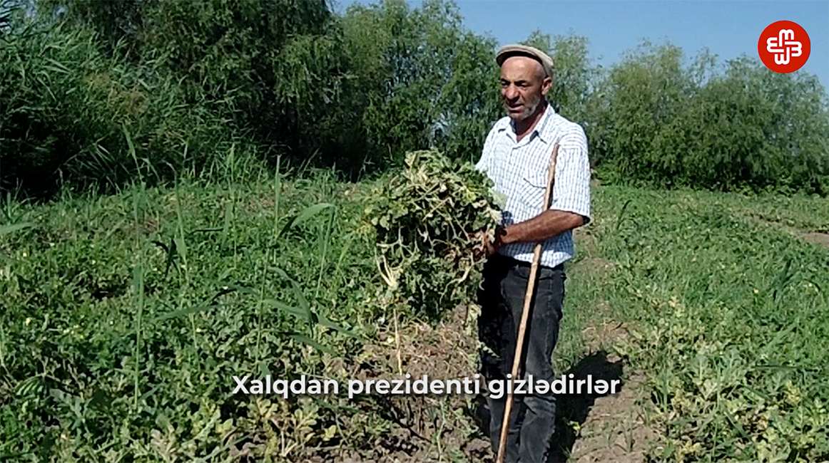 Qarabağ əlili: “Sahibkarlar torpağımızı almaq üçün suyumuzu kəsirlər”