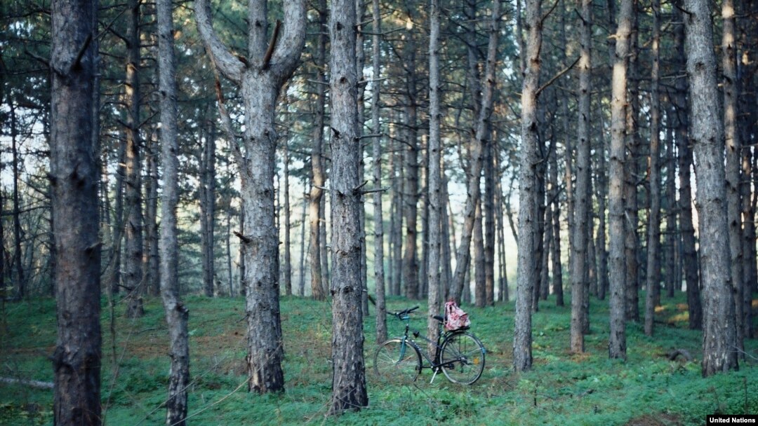 Оон леса. Мариуполь лес. Украинский лес. Темир леса. Ана леса фото.
