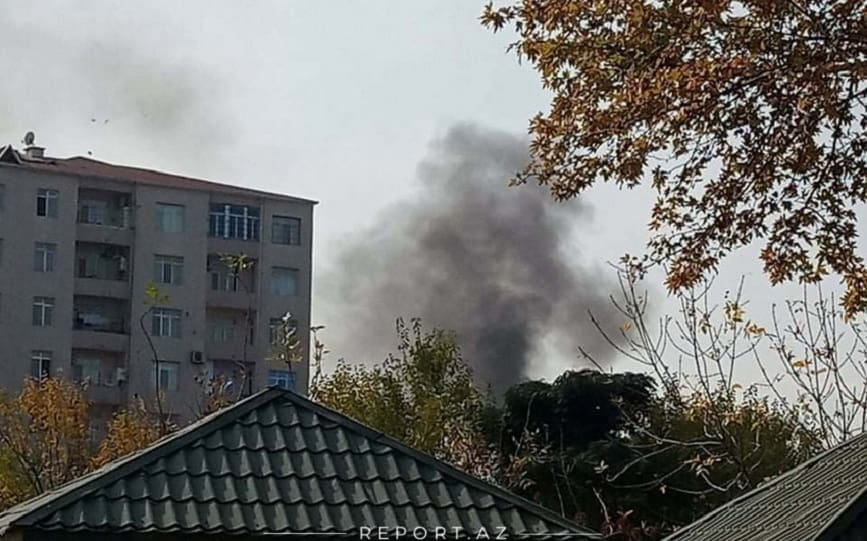 Барда