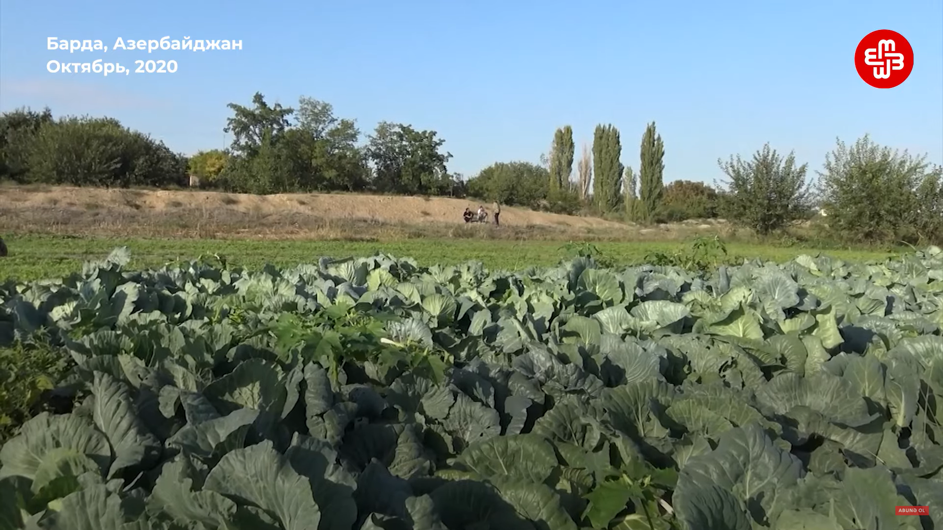 пуа