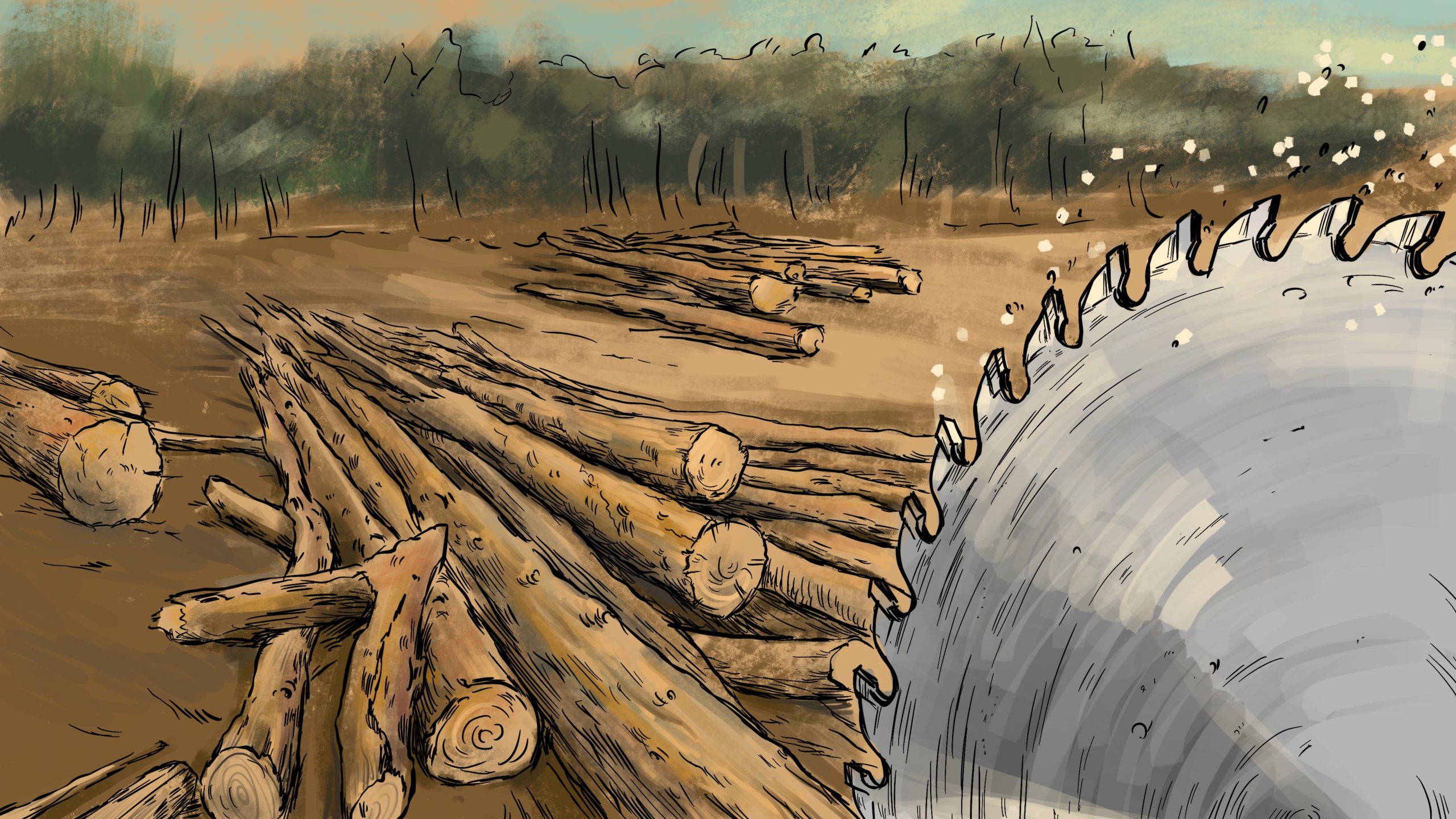 Lack of protection of forests