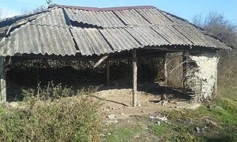 Şəhid ailəsinin evi