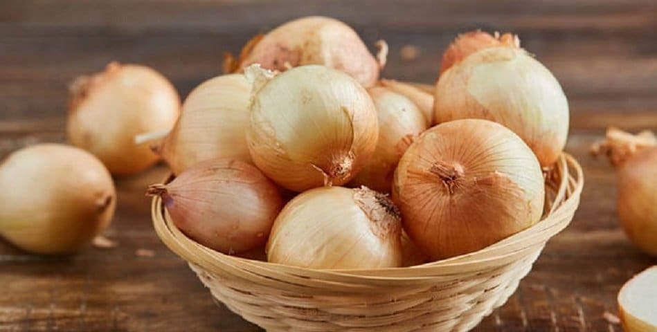 Лук