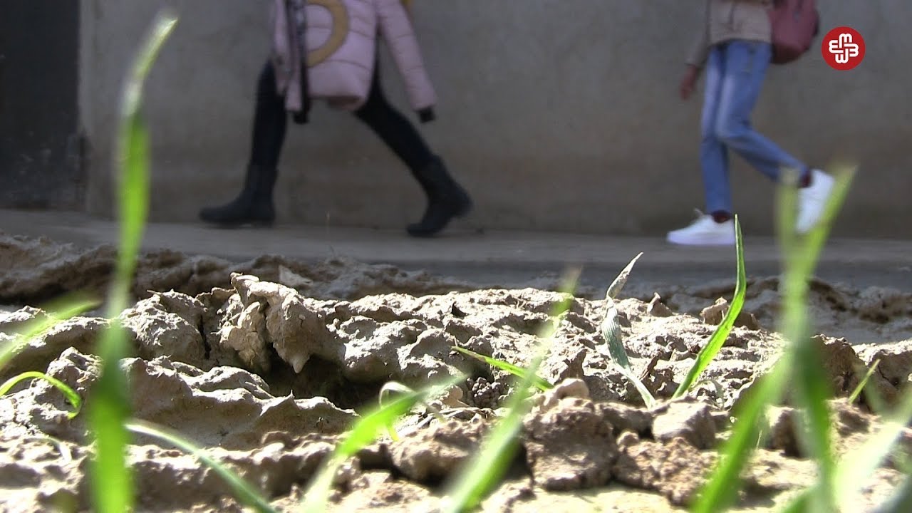 Yolları daşdan keçən saraylı məktəblilər