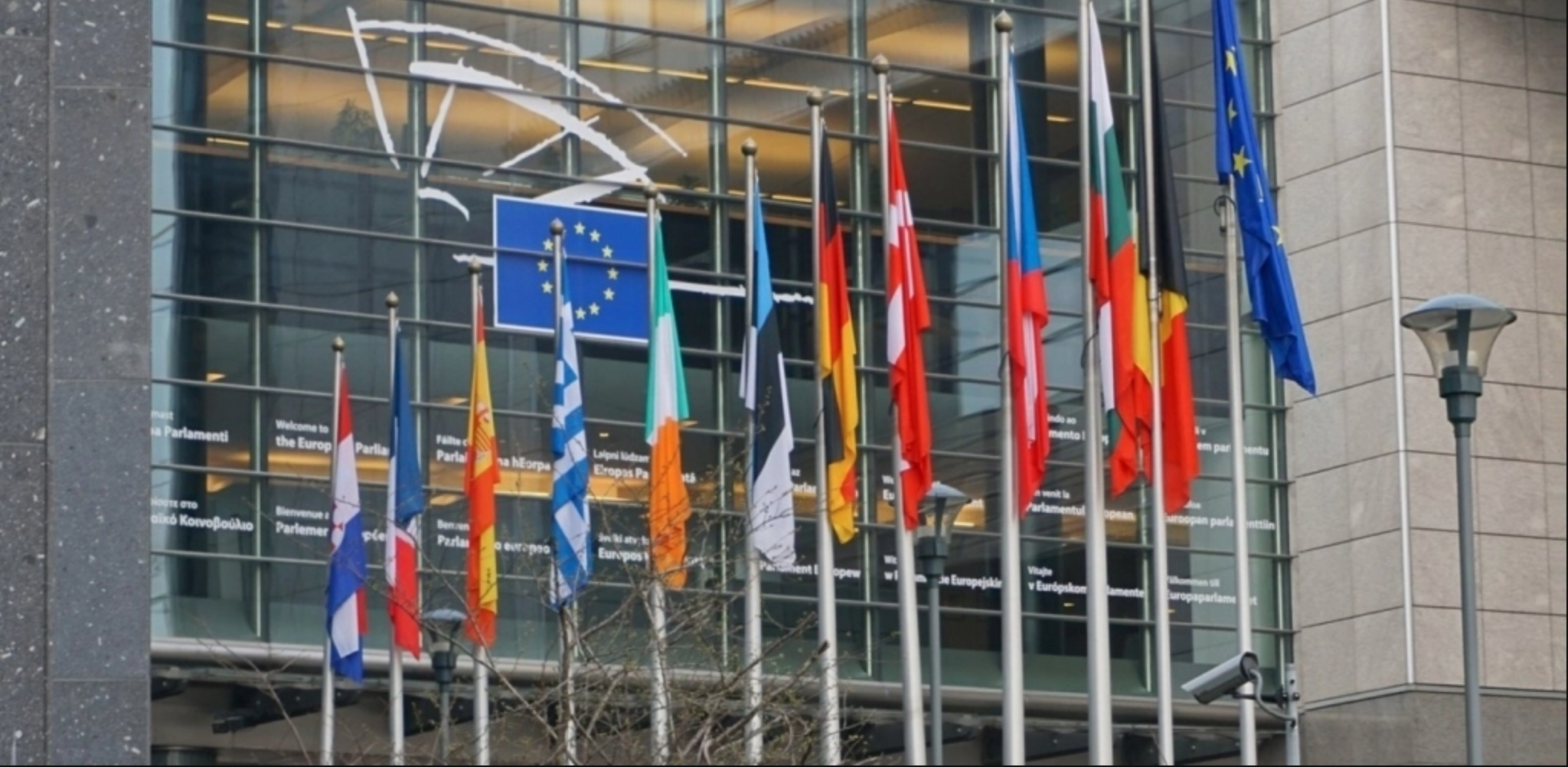 Flags in front of the European Parliament in Brussels