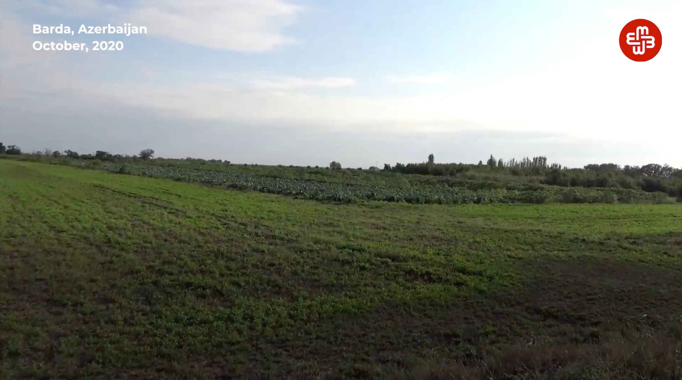 barda-fields