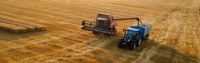 Vladimka production/shutterstock