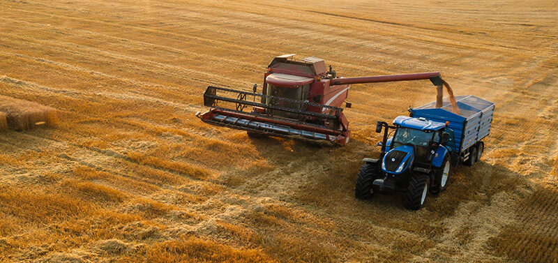 Vladimka production/shutterstock