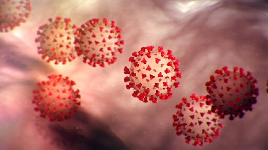 Koronavirus
